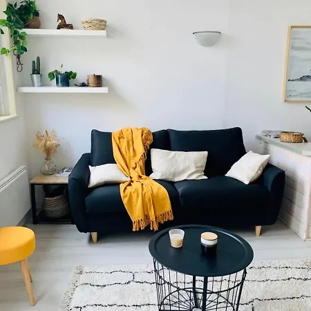 Appartement Lille Centre Apartament Lille